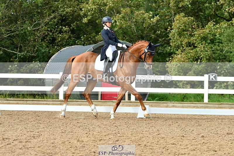 230912A-162929-01786 - Cls 18 FEI PSG