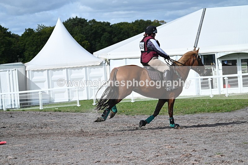 WJ7_0810 - Time 12:02 to 12:30