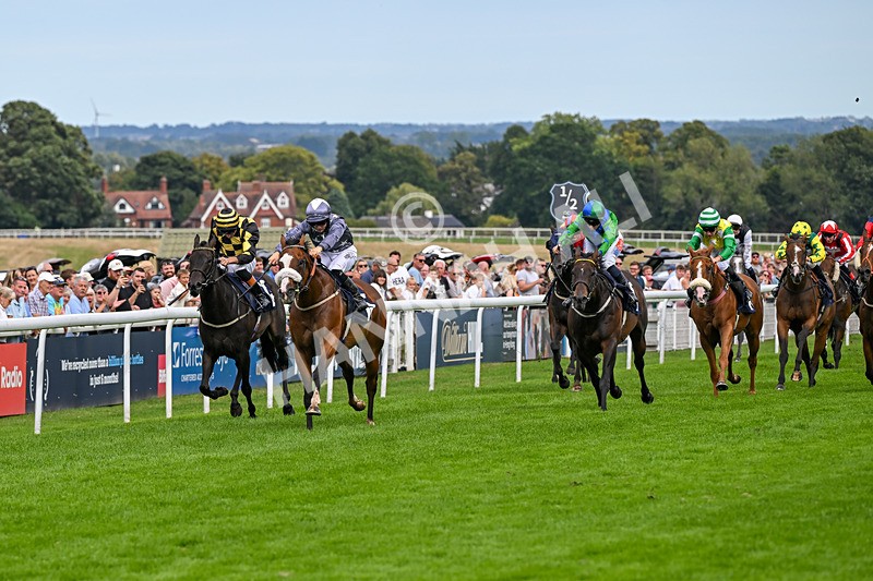 300826-Race 5-Harb-1080 - Race 5 3.55pm Constant Security Handicap