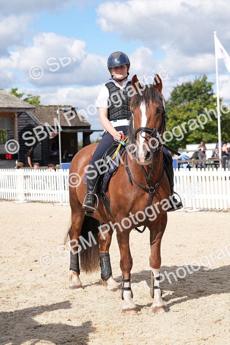 SBM_38925 - J21 - Junior Horse 60cm Championship
