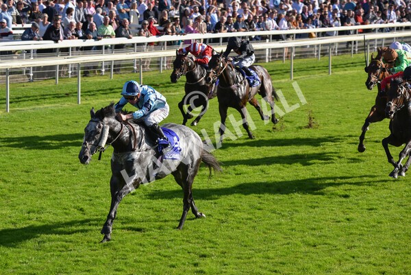 yr08102021r3-30 - Race 3 3.15pm Download The Casumo App Today Handicap