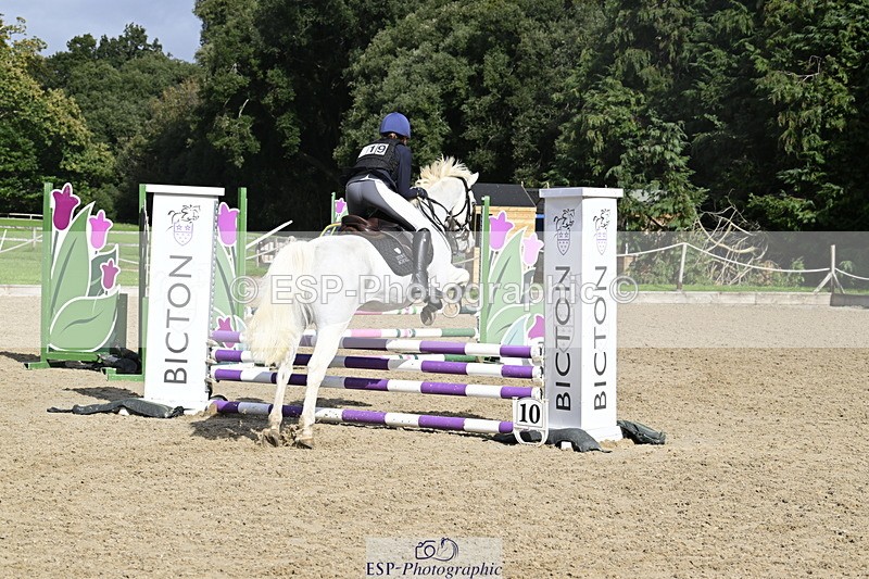 251005A-125413-03946 - Cls 08 Mini 70-75cm