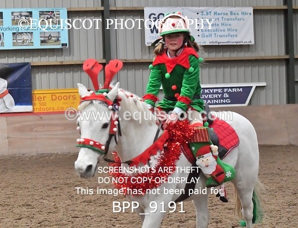BPP_9191 - CLASS 4 50CM Novice Show Jumping