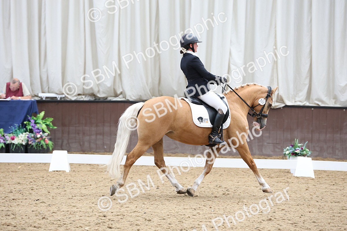 SBM_007566 - Class 23 - Medium FSM Bronze