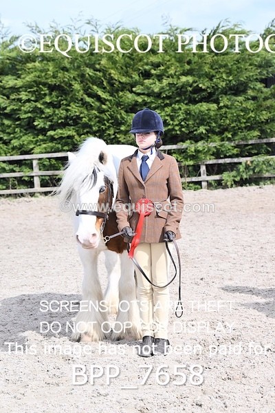 BPP_7658 - RING 1  (RIDDEN HORSES / IN HAND / VETERAN ETC)