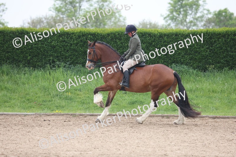 20260504-1132 - Class 14 - Cob and Hunter