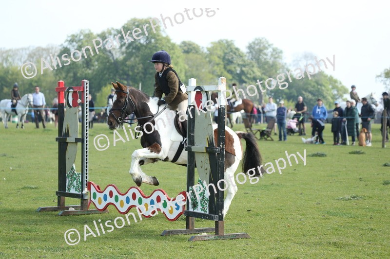 20260426-0068 - Class 13 - Rookie Jumping 50cm