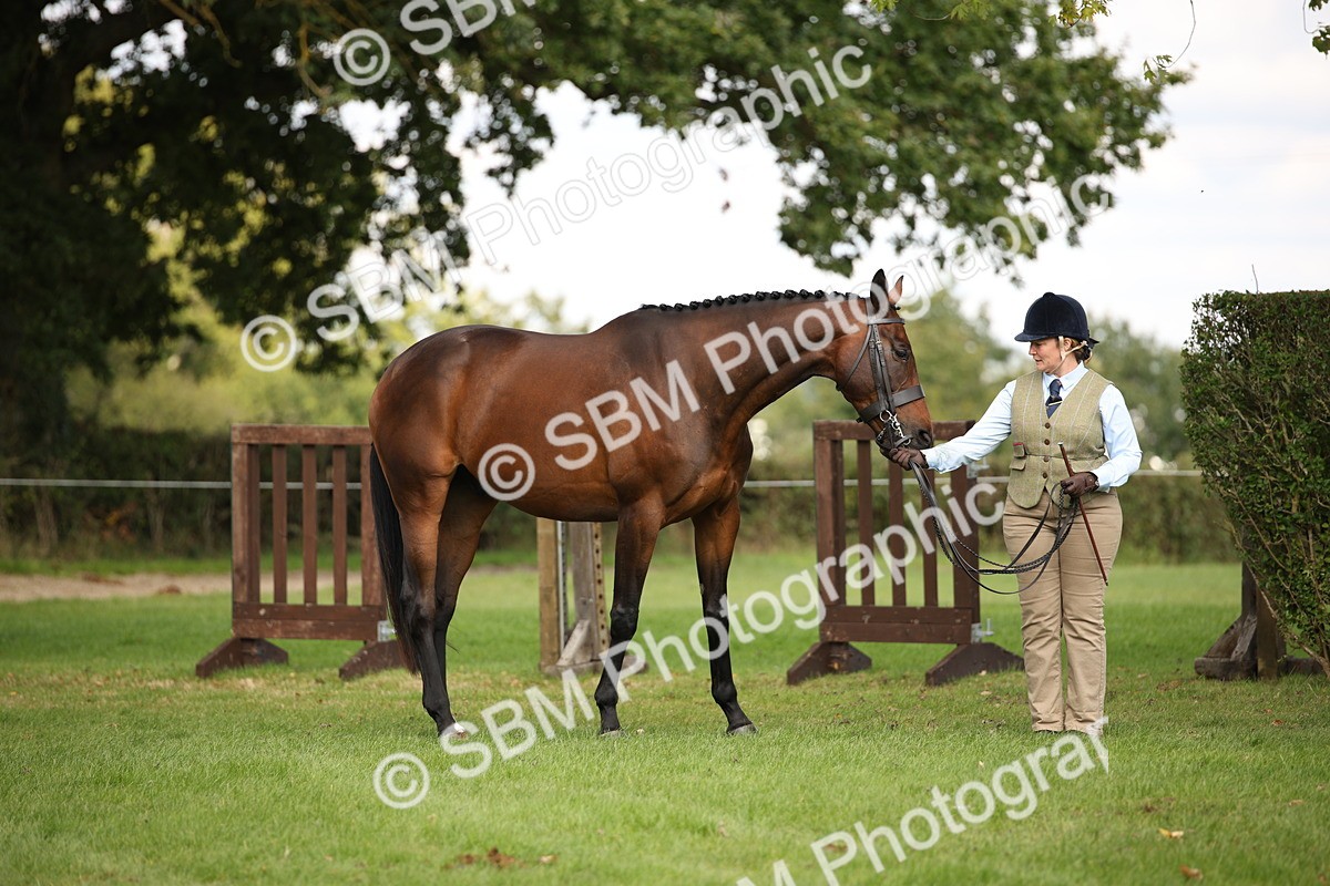 SBM_62951 - In Hand Horse Supreme Championship