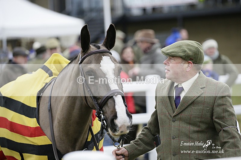 PtP 220122 91 - Royal Artillery Hunt Point-to-Point  - Larkhill Racecourse 22/01/22