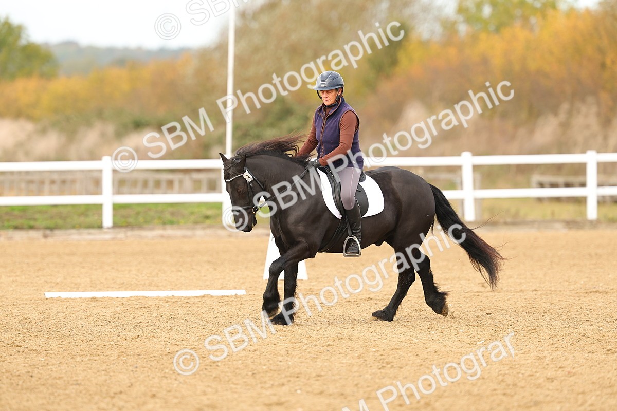 SBM_000695 - Class 3-12 - CT P2 60cm - DR P2