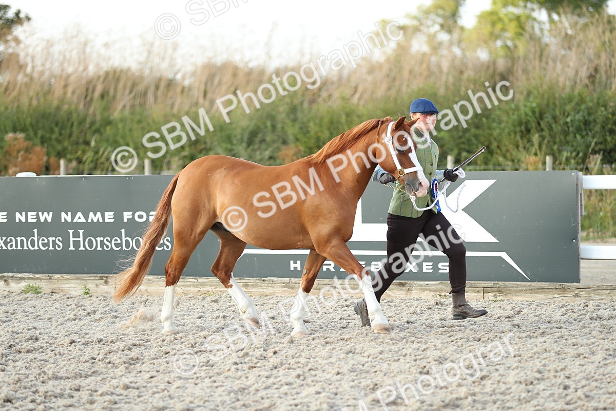 SBM_09121 - Class 29 IH Veteran Pony