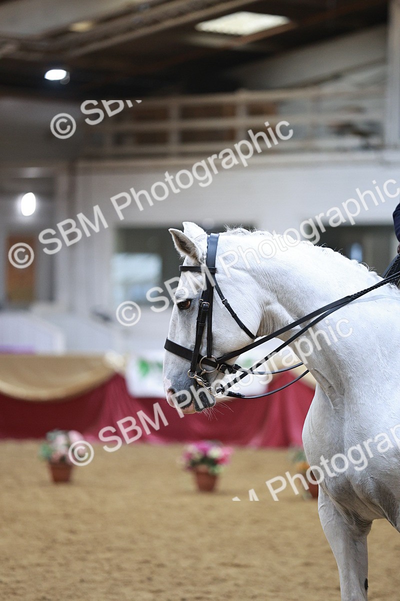 SBM_09061 - Class 12R - Regional Ridden Pre-Vet