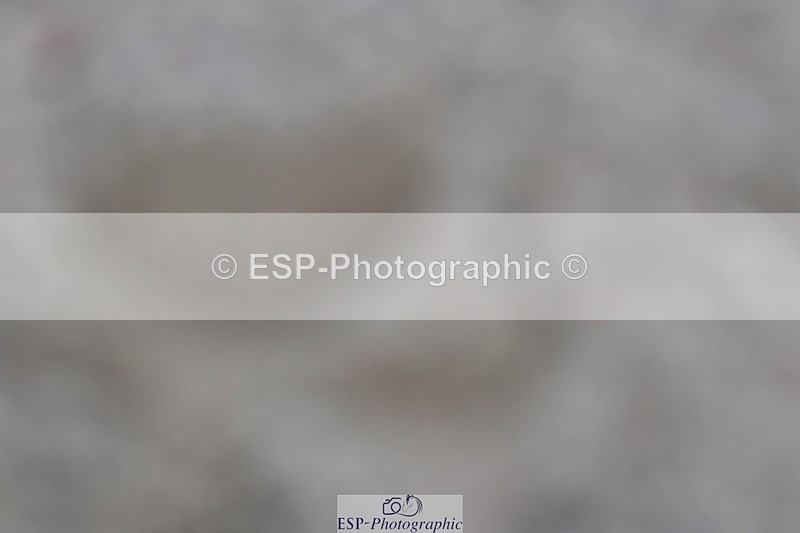 250125-131228-00593 - Dressage - CT Class 6 BE102