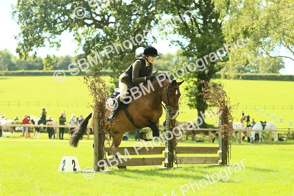 SBM_42097 - S29 - Novice & Newcomers Working Hunter Pony