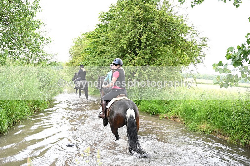 WJ7_2366 - Camera 2 Water Crossing
