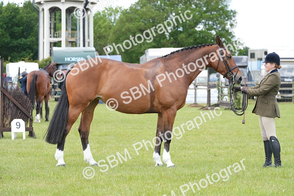 SBM_15046 - Class 100-102 - RIHS Working Hunter