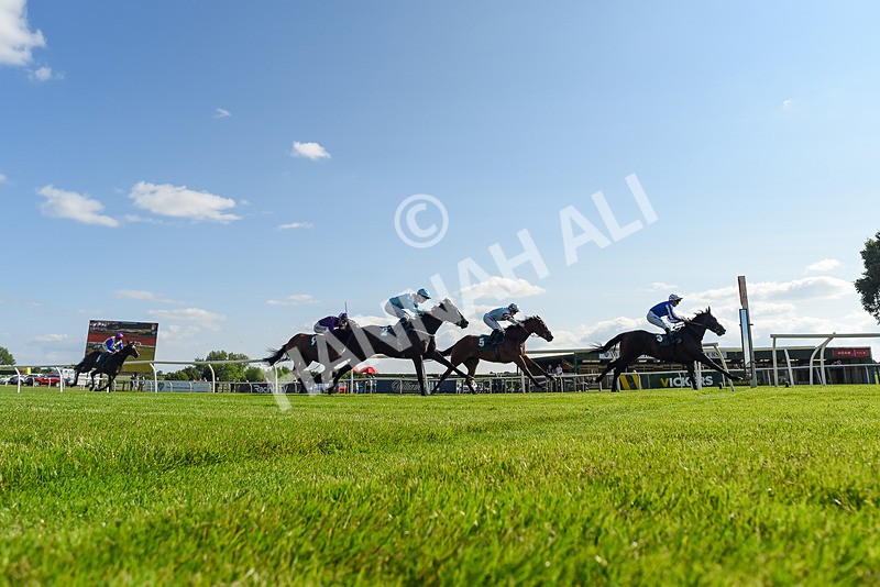 100625-Race 1-Desert Jungle-4475 - Race 1