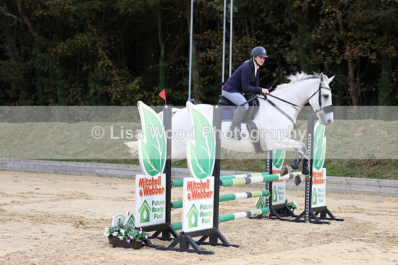 3E7A2204 - Class 4: Senior British Novice/90cm open