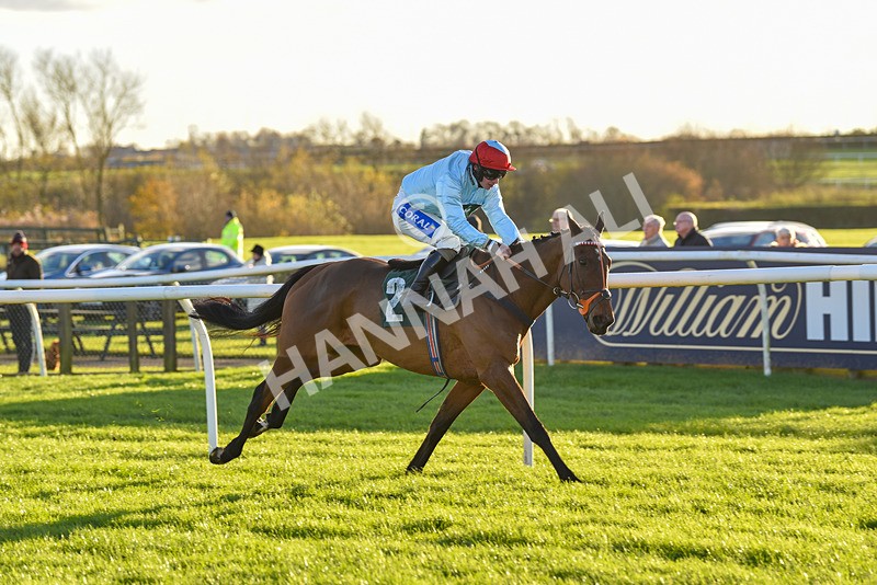 241123-Race 5-Bugise Seagull-7539 - Race 5