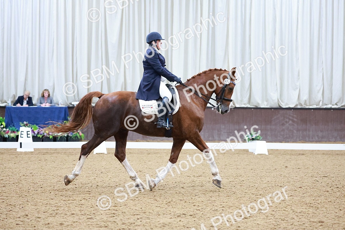 SBM_021229 - Class 14 - FEI Grand Prix - 17.40-18.34