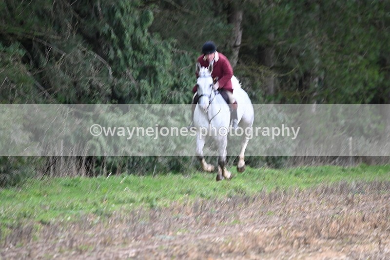 WJ6_9471 - Line Four