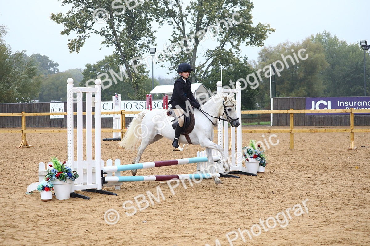 SBM_71673 - J4 - Mini Tour Junior Pony 45cm Championship