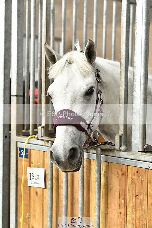 230804A-094421-02179 - Stable Shots