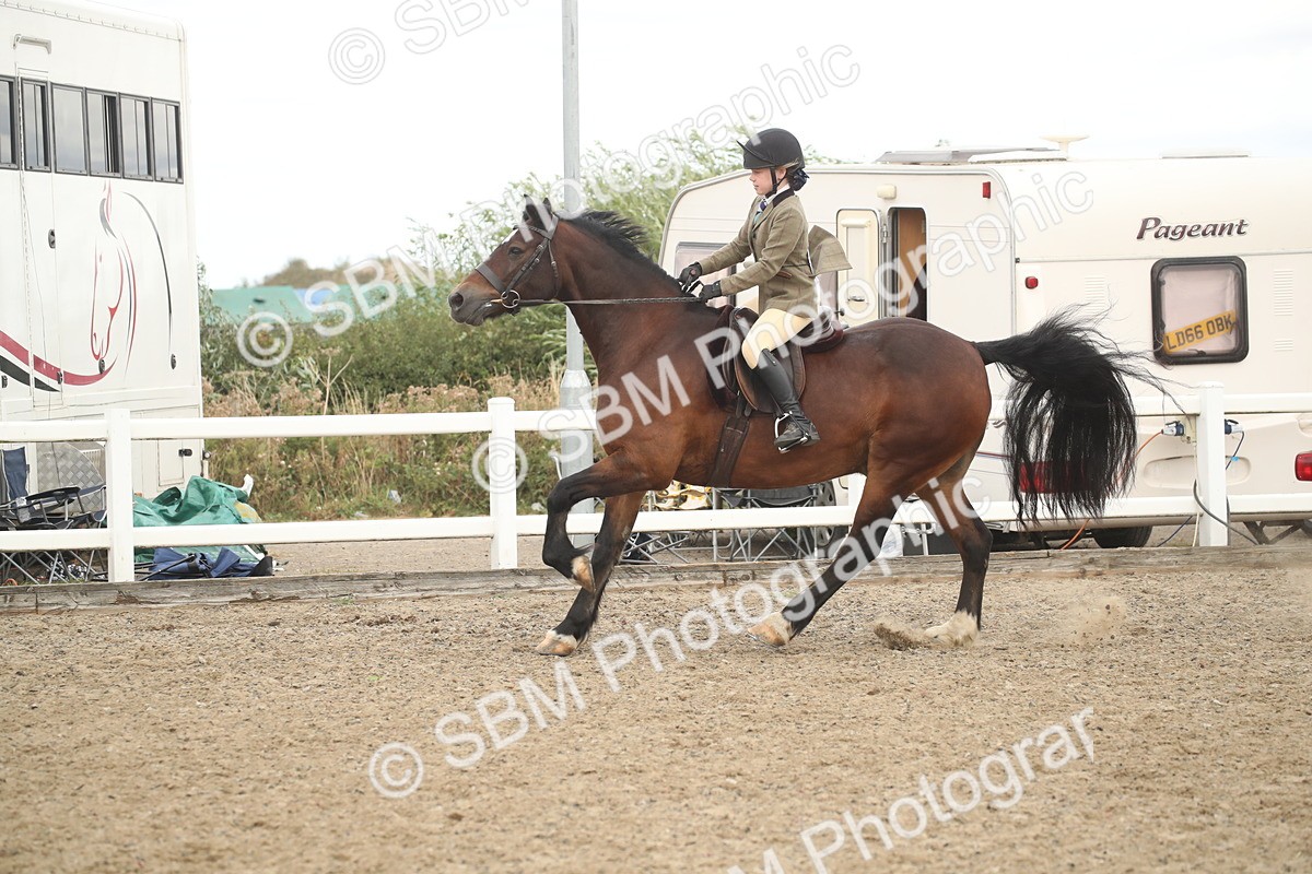 SBM_17901 - Class 508b - Working Veteran 70cm (20+)