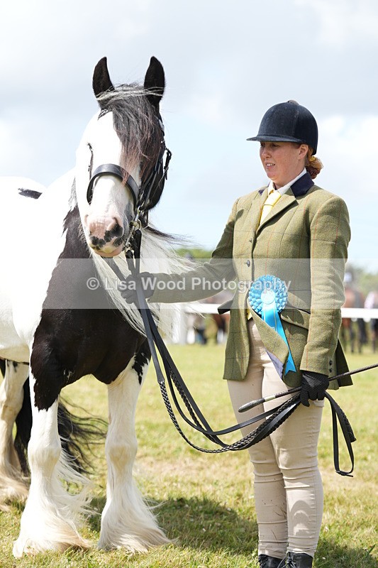 DSC06975 - Class 60: Coloured Pony 4yrs & over