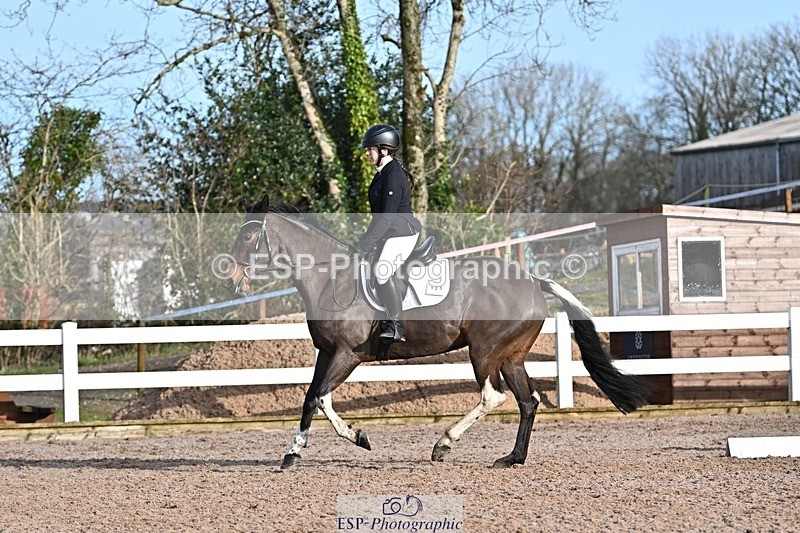 250125-104837-00234 - Dressage - CT Class 4 BE95 (80cm)