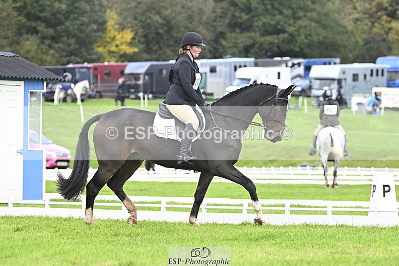 251023A-140039-04210 - D-327-Nicky.Blastland