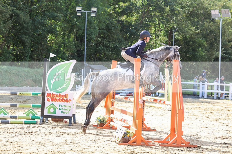 3E7A0706 - Class 4: Senior British Novice/90cm open