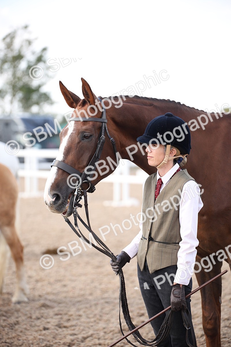 SBM_07115 - Class 25 IH Foreign Breeds- Pure bred