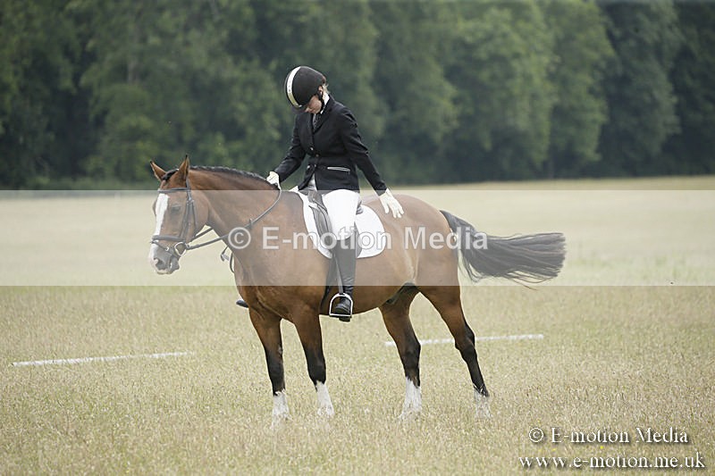 B230619-0677 - Bourne Valley Riding Club Summer Show 23/06/19