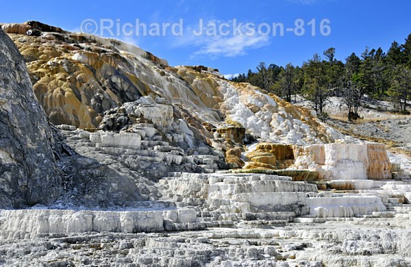 Mammoth Terraces - Yellowstone National Park