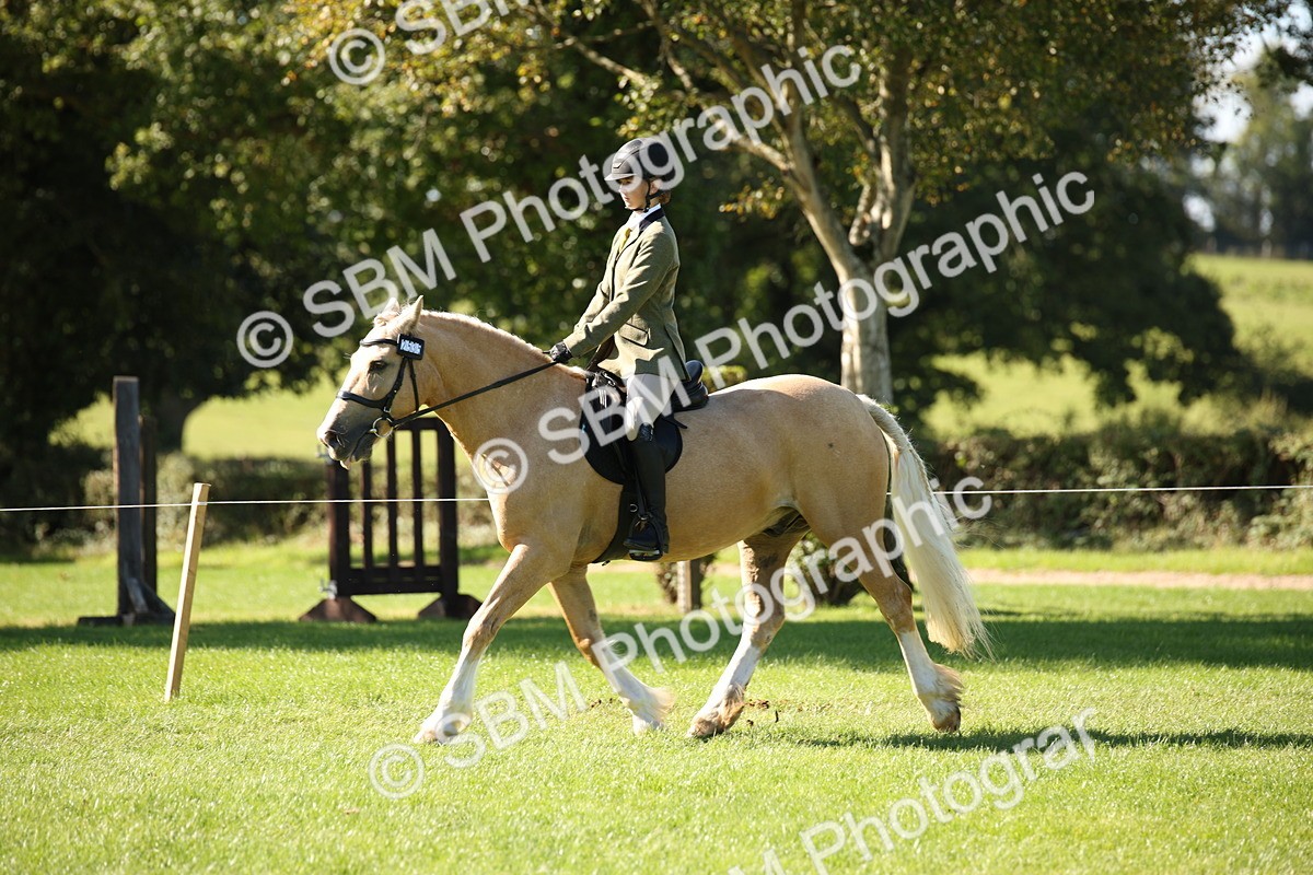 SBM_38958 - S11 - Best Ridden Horse & Pony