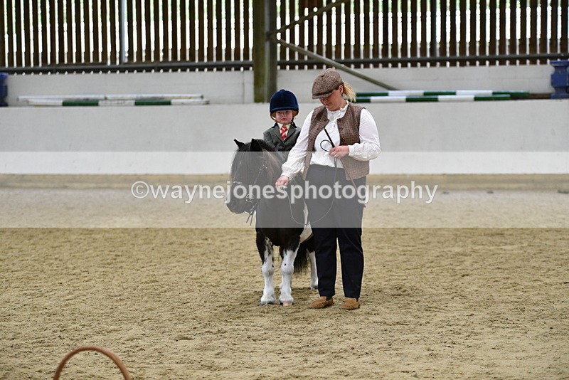 WJ5_7083 - Class 10 Childs Pony