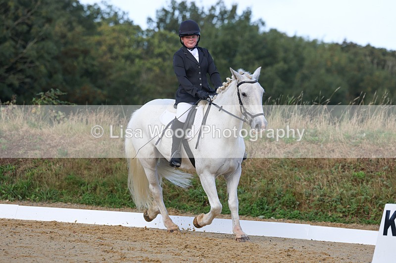 3E7A2453 - Class 1: Intro 4 2024 section A