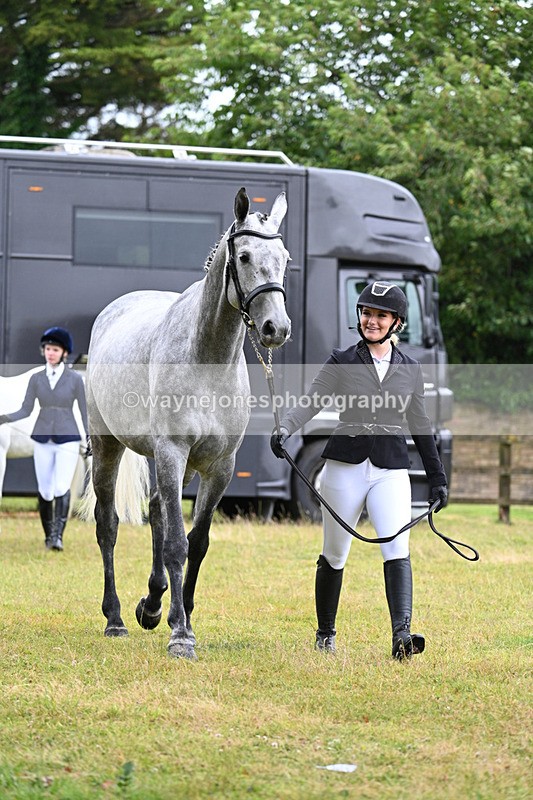 WJ7_6062 - Class 4a Prettiest Mare over 14hh
