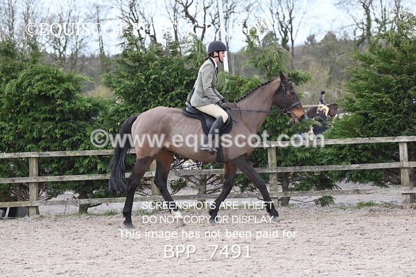 BPP_7491 - RING 1  (RIDDEN HORSES / IN HAND / VETERAN ETC)