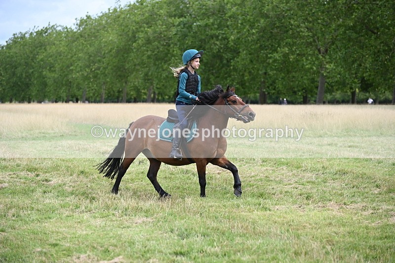 WJ6_2362 - Time at Jump 09:23 to 11:05