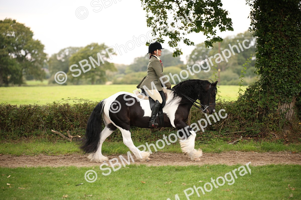 SBM_73442 - S68 - Traditional Cob Ridden
