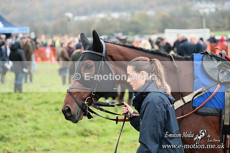 PtP 091125 0454 - Point-to-Point Wales Area Club Lower Machen, Gwent 09/11/25