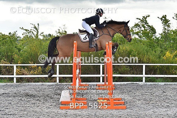 BPP_5825 - SUN CLASS 33 FOX/1.20M