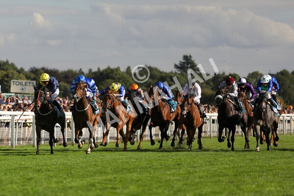 yr19082022r7-24 - Race 7 5.20pm Sky Bet Mile Stakes