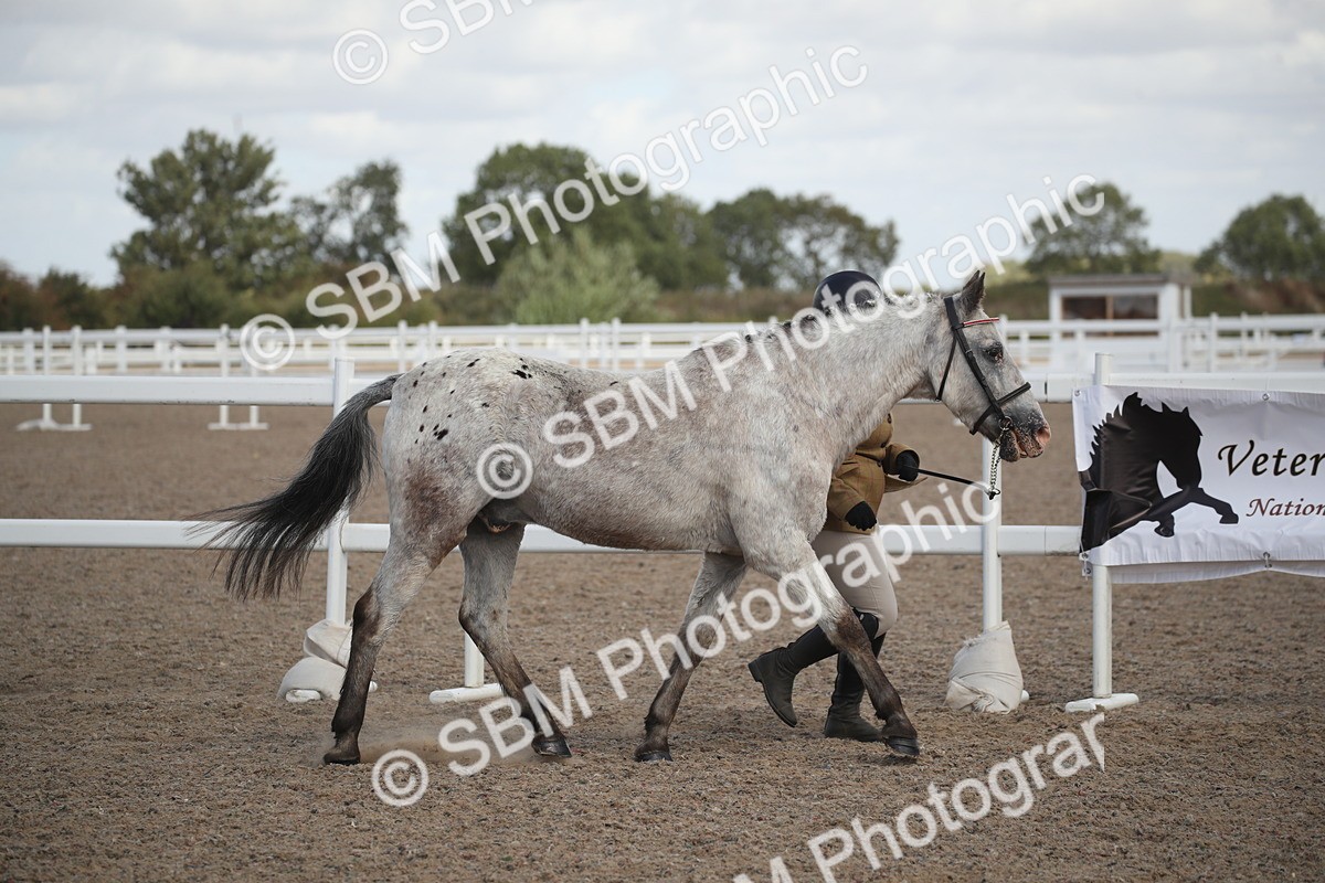 SBM_23506 - Class 604 - 2026 - Area IH Diamond