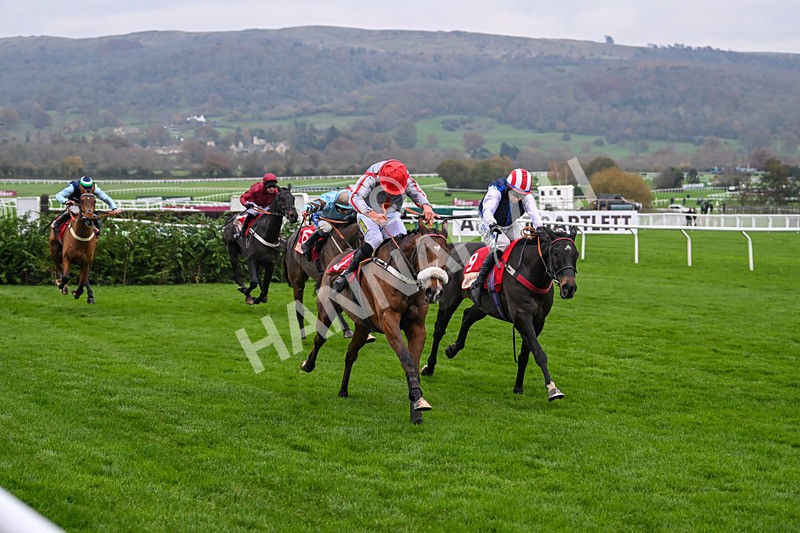 151124-Race 4-Sweet David-8230 - Race 4