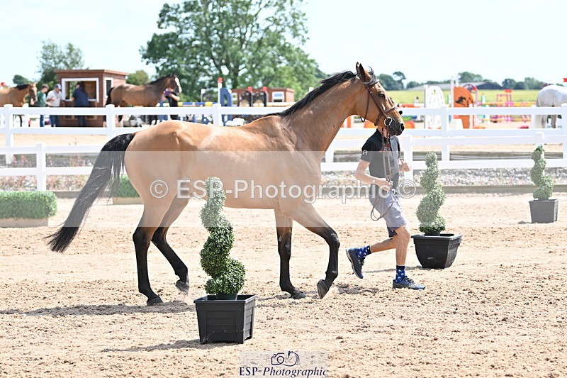 240717A-151541-02695 - Trot Up 3pm to 4pm