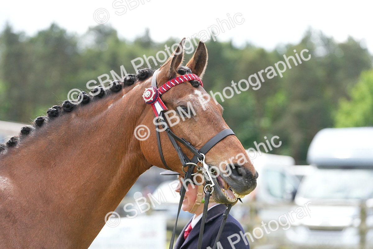 SBM_15835 - Class 103-104 - RIHS Hacks