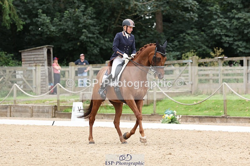 240810-161345-04350 - 219-Alice.Peternell-Insanity